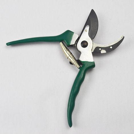 Filiyano-Cisailles de jardin professionnelles pour viticulteurs (1/5)