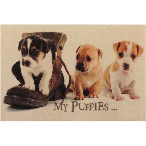 CALICOSY - Tapis d'entrée chiots - L60 x l40 cm