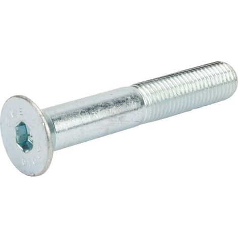 Tornillo Allen M16X100 TRIOLIET-MULLOS 84186