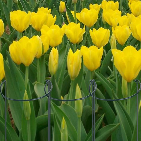 Tuteur pour rosiers grimpants et clématites, support pour plantes de jardin, support pour plantes en pot de balcon (1/5)