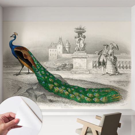 Selbstklebend Tapete - abwaschbar - Raumgestaltung Schlafzimmer Wohnzimmer Tapete Bunte Federn 152x104 cm (1/5)