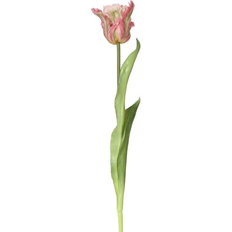 EVERLANDS Papagei-Tulpe Rosa & Grün Ø 6 cm 51 cm - Kunstblumen
