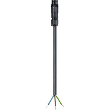 Wieland Electric 46.432.1034.1 Rundstecker Stecker, gerade Gesamtpolzahl: 2 + PE Serie (Rundsteckver