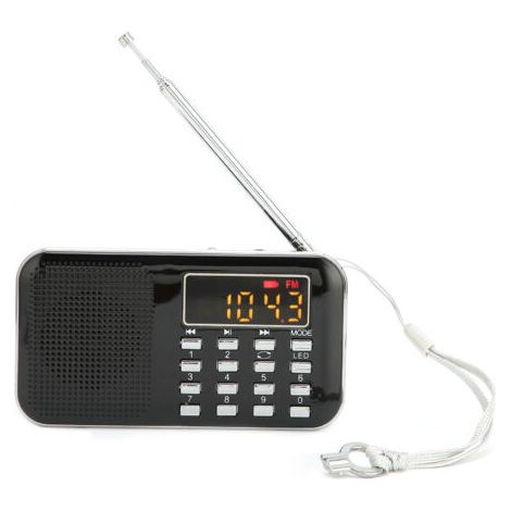 Mini enceinte - Noire - Radio numérique (1/5)