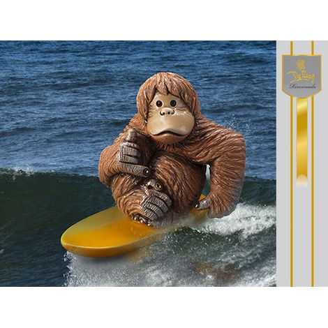 Surfer