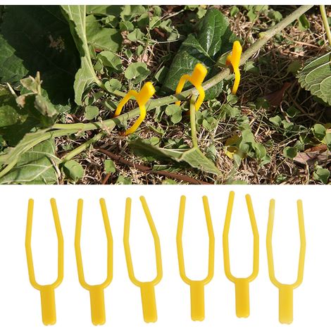 50 Pièces Attaches pour Plantes, Pince de Jardinage et Fourche à Planter pour Extérieur (1/5)