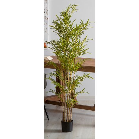 Plante de bambou 165 cm. 165 cm (1/5)