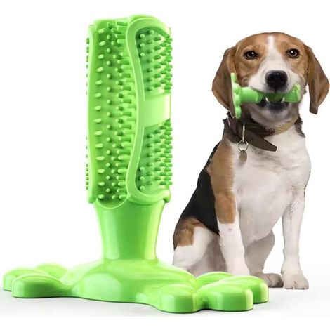Hundekauspielzeug Zahnbürstenstab Hundespielzeug für intensives Kauen interaktives Spielzeug therapeutisches robustes Spielzeug um Welpen zum zu grün