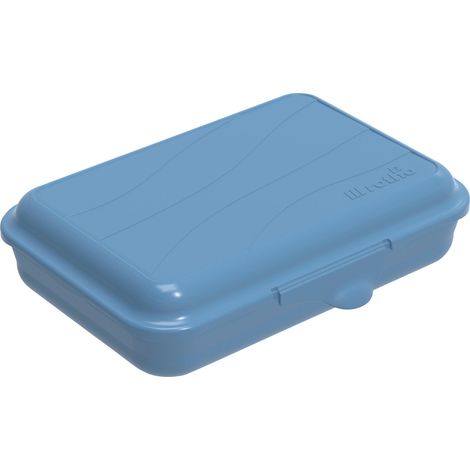 Rotho Brotdose Funbox 0,45 l flach, 16 x 11 x 4 cm, horizon blue Boxen, Körbchen & Kisten