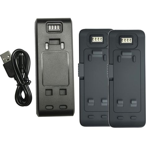 Set-Angebot 2-fach Ladegerät mit Micro-USB Kabel + 2x Li-Ion Akku 3,85V 1200mAh für Insta 360 One R ersetzt Insta IS360RB / Kamera Actioncam (1/2)