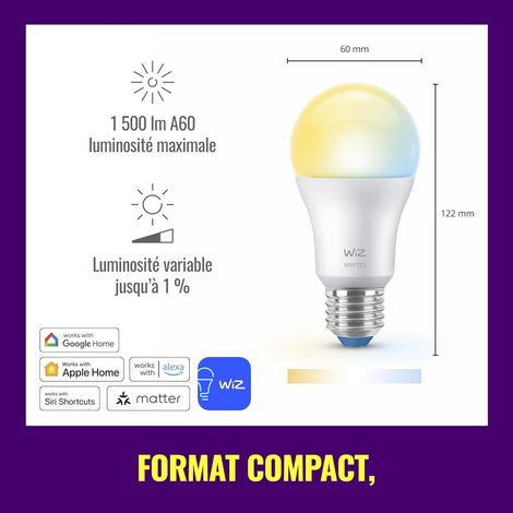Philips Hue White & Colour Ambiance A60 – Ampoule connectée E27 100 W équivalente, Wi-Fi & Bluetooth