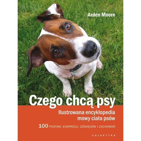 Cosa vogliono i cani