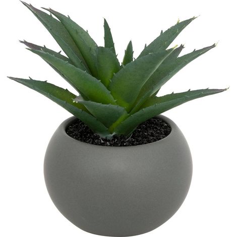 Pianta grassa in vaso H13 - Modèle e/gris - Atmosphera créateur d'intérieur (1/4)