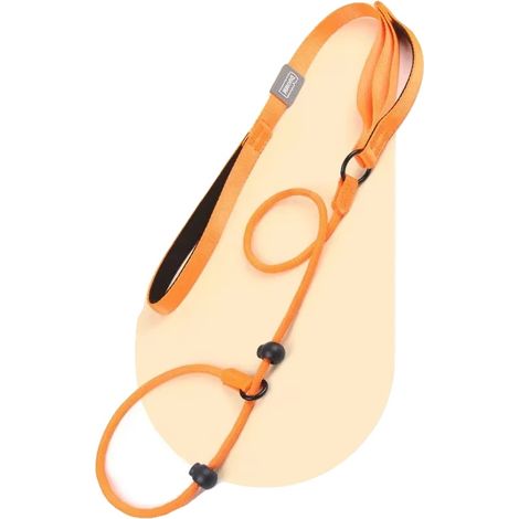 Laisse pour chien, double poignée, matériau en nylon durable, 170cm x 0.6cm-a, Orange (1/2)