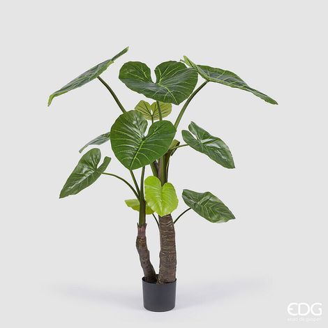 EDG Enzo De Gasperi Alocasia con Vaso Artificiale H 180 Cm Green