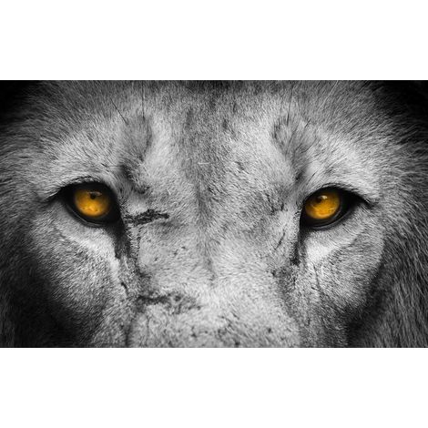 Tableau Yeux de loup - 80x50cm - made in France (1/5)