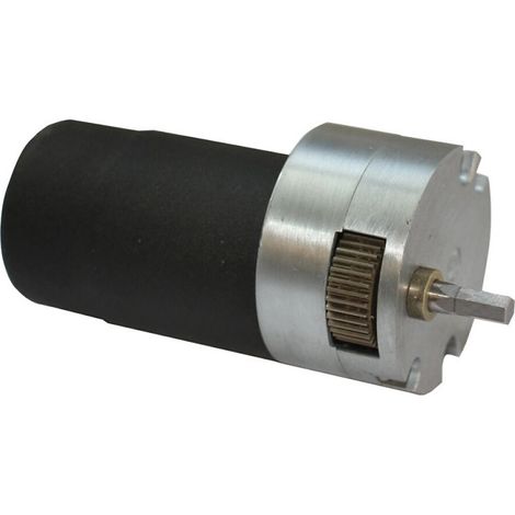 Motoréducteur 24 V pour support gond
