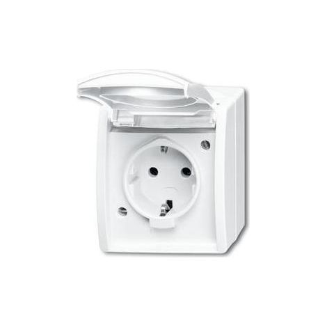 Busch-Jaeger Schuko-Steckdose mit Klappdeckel 20 EW-54 (1/5)
