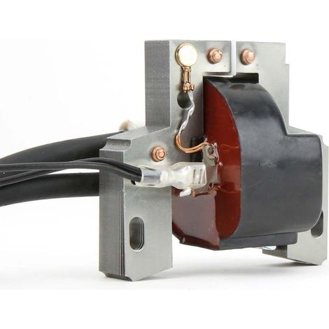 Bobine d'allumage pour Briggs et Stratton séries 400 400 à 422 700. 394891 (1/5)