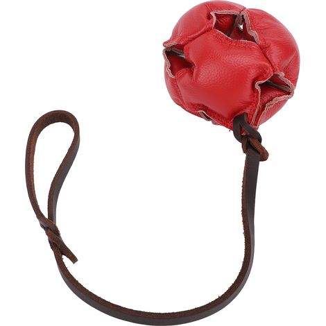 Dog Training Ball Release Energy Reduce Anxiety Interactive Exercise and Reward Ball On Rope Toy for Small Medium Dogs Red (1/5)