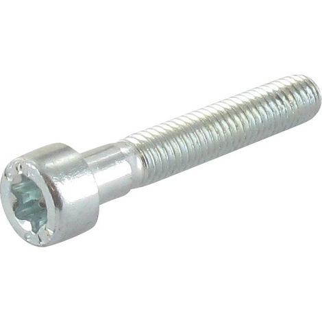 Vis torx STIGA 2135050