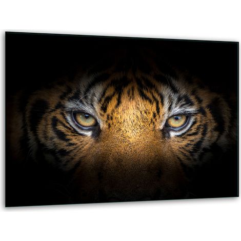 Tagliere in vetro 40x30 tigre (1/5)