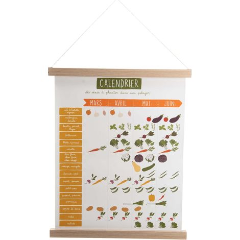 Calendrier spécial semis Kakemono 24 x 50 cm – Bois – Dimensions 24 x 50 cm – Pour semis précis et planification horticole – Amadeus
