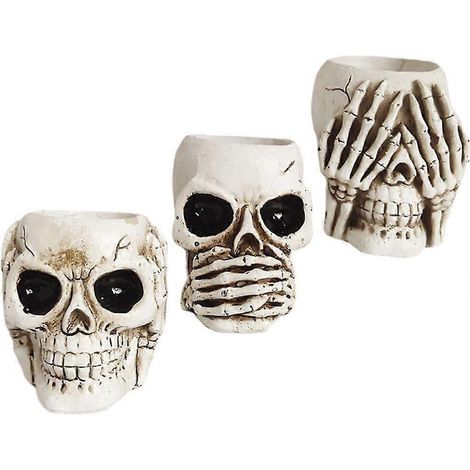 Ensemble de 3 pots de fleurs en forme de crâne pour la décoration intérieure (1/4)