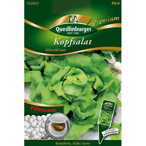 Quedlinburger Saatgut – Laitue pommée Attraktion – Graines de légumes, semences enrobées (pilulées) (1/2)