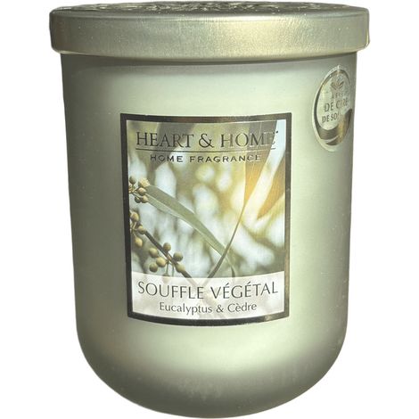 Grande bougie parfumée souffle végétal 320 g