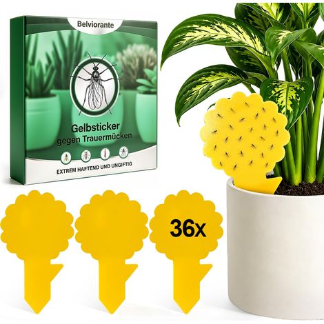 Piège Anti Moucherons Plantes Intérieur 36 Pcs (1/5)
