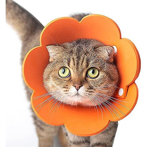 collier Anti - Lchage Collier Pour Chat, Adapt La Circonfrence De La Tte 10 - 18cm, Rglage Collier De Protection Lgre Collier Pour Chat (orange) (1/4)