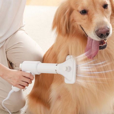 Seche-cheveux Portable 2 en 1 pour Chien Avec Brosse Vitesse Reglable Temperature Faible Bruit Toilettage Produit pour Animaux de Compagnie (1/5)
