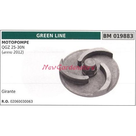 Girante GREENLINE motopompa QGZ 25-30N anno 2012 019883