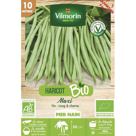 Haricot Nain Vert Maxi - 10 m - BIO Vilmorin