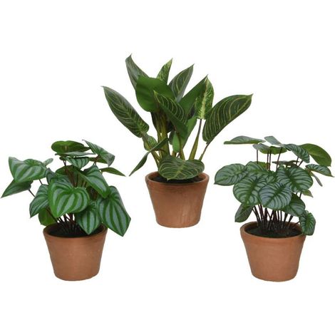 Pianta artificiale con vaso in terracotta 30x30x h30 cm assortiti