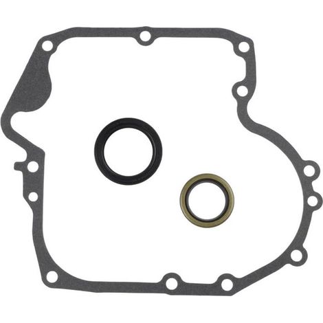 Kit de joints de carter et de joint d'huile pour moteurs de tondeuse à gazon, remplace les numéros de pièces 697110 et 795387 - Construction en métal - Ensemble complet avec un joint et deux joints (1/5)