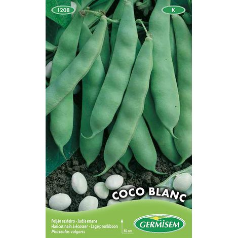 Graines de Haricots Français 100 g EC1208 Multicolore