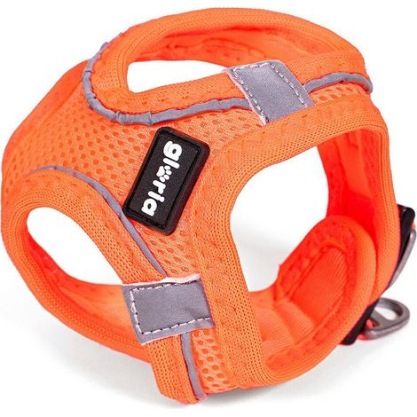 Imbracatura per Cani Gloria Air Mesh Trek Star Regolabile Arancio Taglia XXXS (18-20 cm)