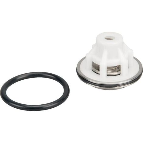 Valvola completa Rau VICON VNB3735478 (1/2)