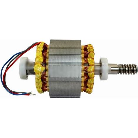 Grupo estator PRPL02 Motor de rotor eléctrico 230v PLUTO PL4000 PL5015 NICE PRPL02 Repuesto