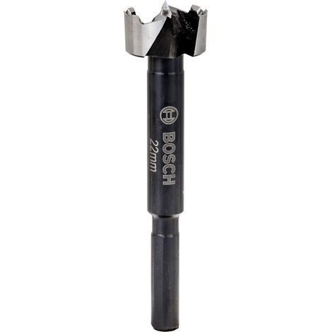 Mèche Forstner (bois, Ø 22 mm, Longueur 90 mm, accessoire pour perceuse) (1/5)