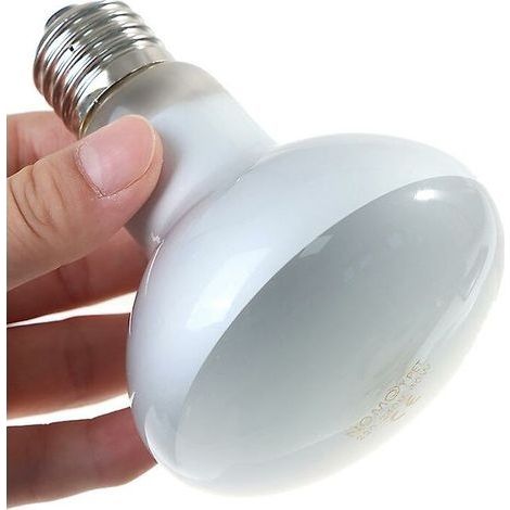 Lampe Ampoule UVA + UVB pour Reptiles - 60W (1/5)