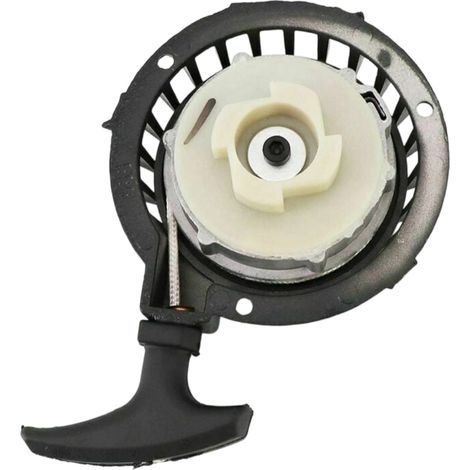 Anlasser für Mini-Motorräder (49 cm³) mit Seilzugstarter für Pocket Bikes, Dirt Bikes und Quads (1/5)