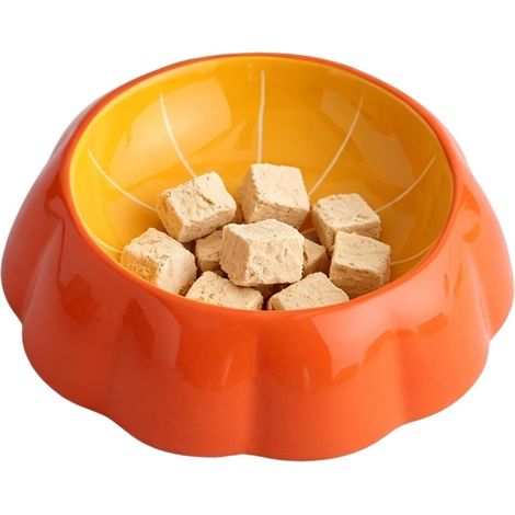 Bol à Eau pour Chat Bol Céramique Motif Fruit pour Animal Gamelle Antidérapante pour Chien pour Maison Cuisine Chambre à Coucher Salle à Manger Appartement (1/5)