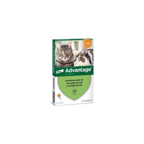 ANTIPARASSITARIO ADVANTAGE PER GATTI E CONIGLI FINO A KG.4  in conf. da 4 pipette SPOTON    ADVANTAGE