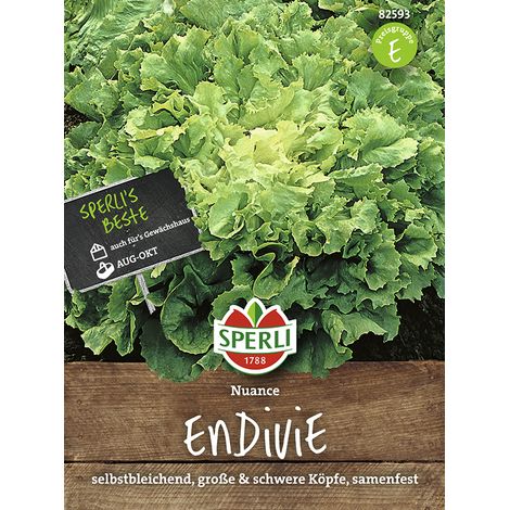 Sperli Endivie Nuance Samen - 1 Portion (1/2)