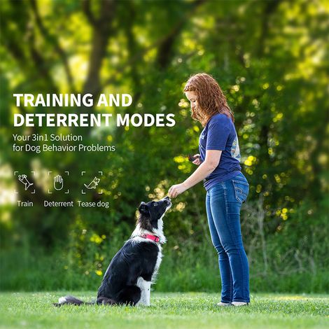 Dispositif répulsif pour chiens, outil d'entraînement à la dissuasion, contrôle du comportement des animaux de compagnie, Anti-aboiement des chiens, Modification ciblée pour les propriétaires (1/5)