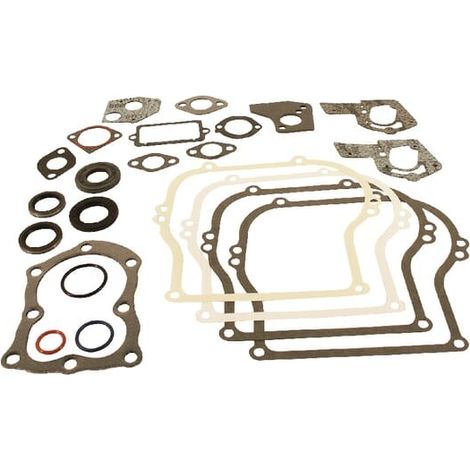 Kit de joints BRIGGS ET STRATTON 495603