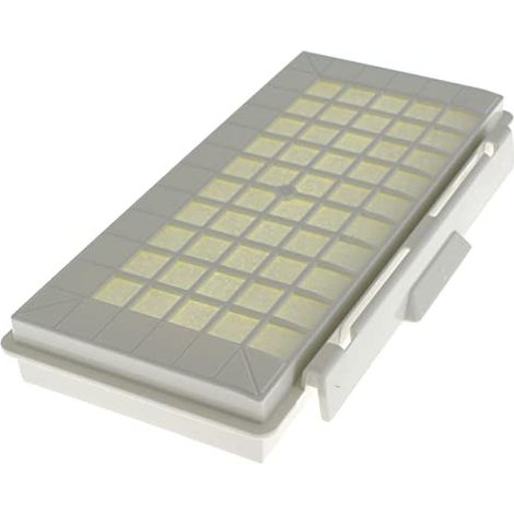 Filtro hepa originale - Aspirapolvere - BOSCH - 2949854242001258011